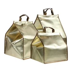 Insulated delivery bag for takeaway food